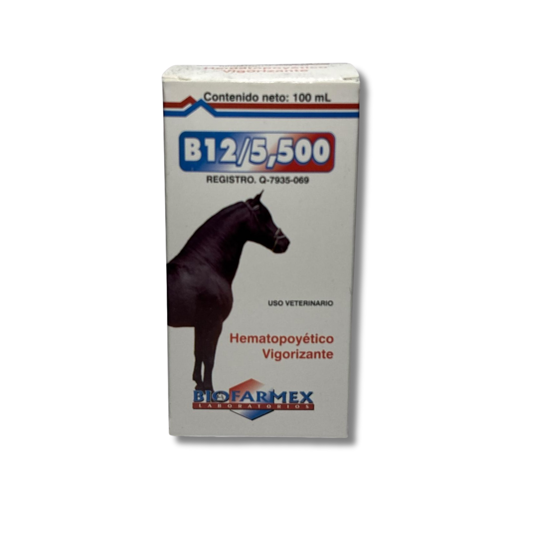 B12/5500