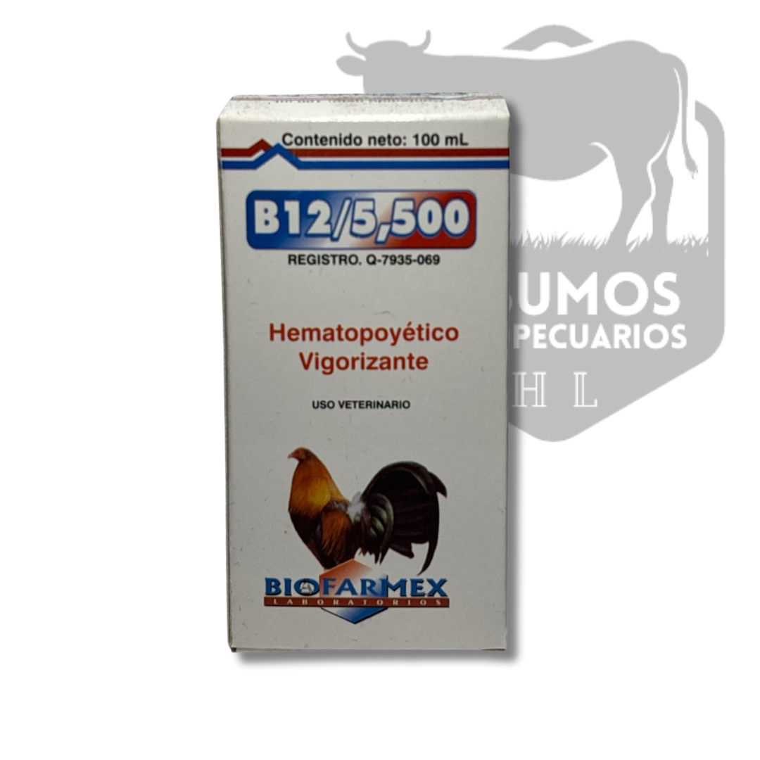 B12/5500