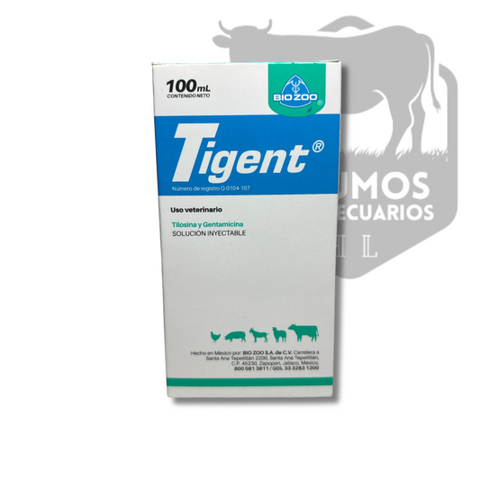 Tigent