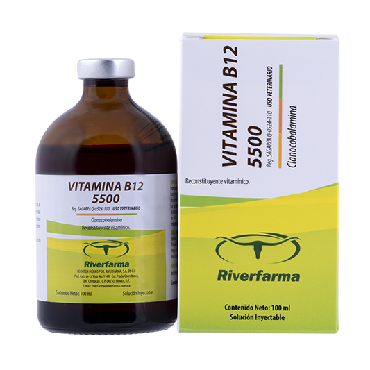Vitamina B12 5500