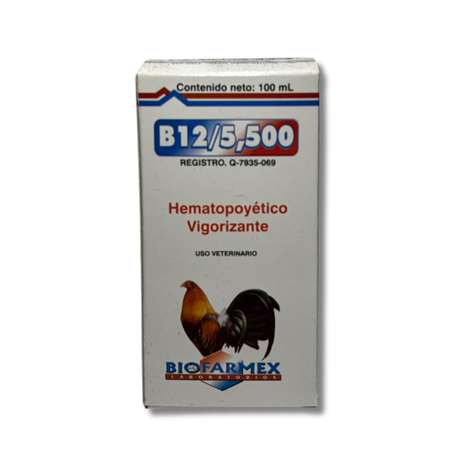 B12/5500
