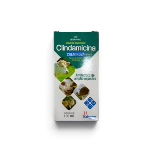Clindamicina