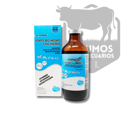 Forte B12 Negro con Hierro