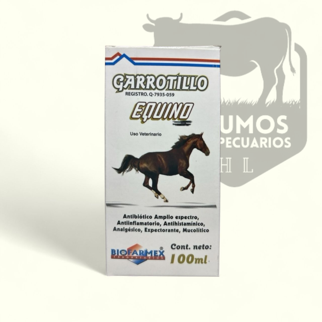 Garrotillo Equino