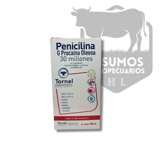 Penicilina G Procaína Oleosa