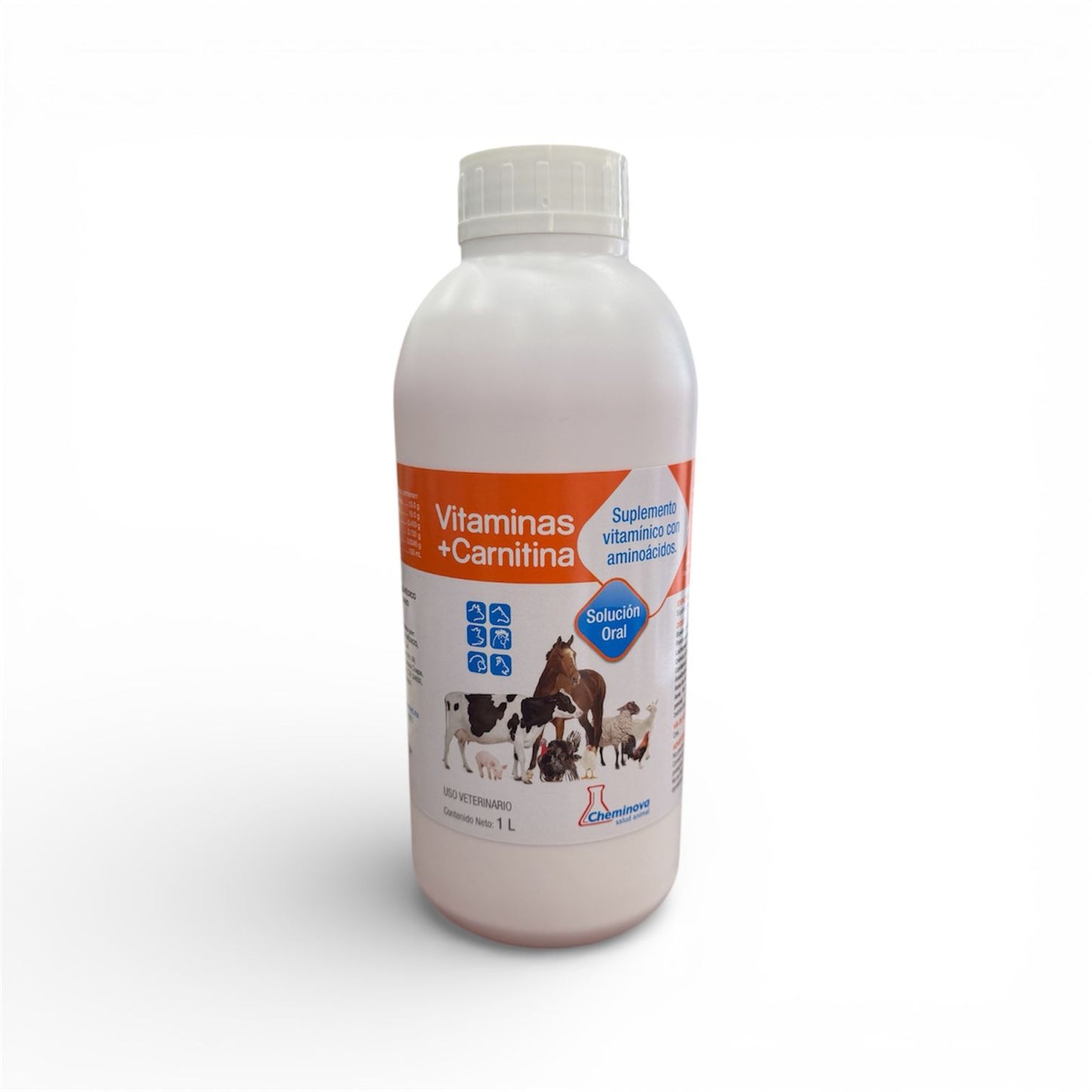 Vitaminas + Carnitina