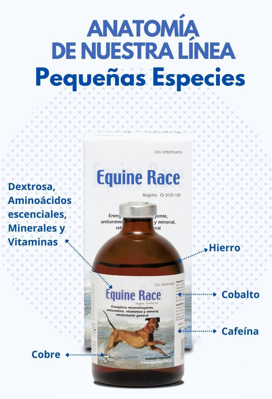 Equine Race Pequeñas Especies