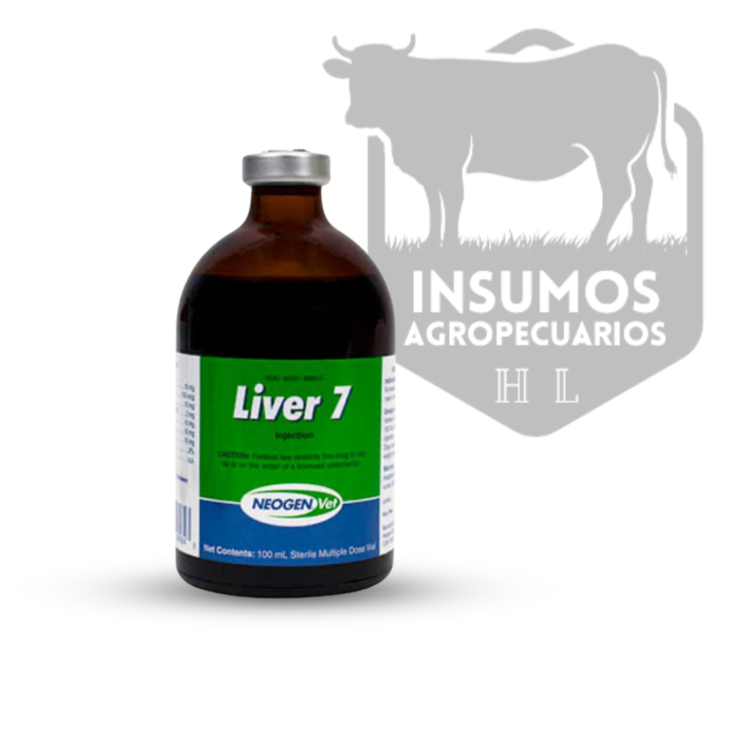 Liver 7